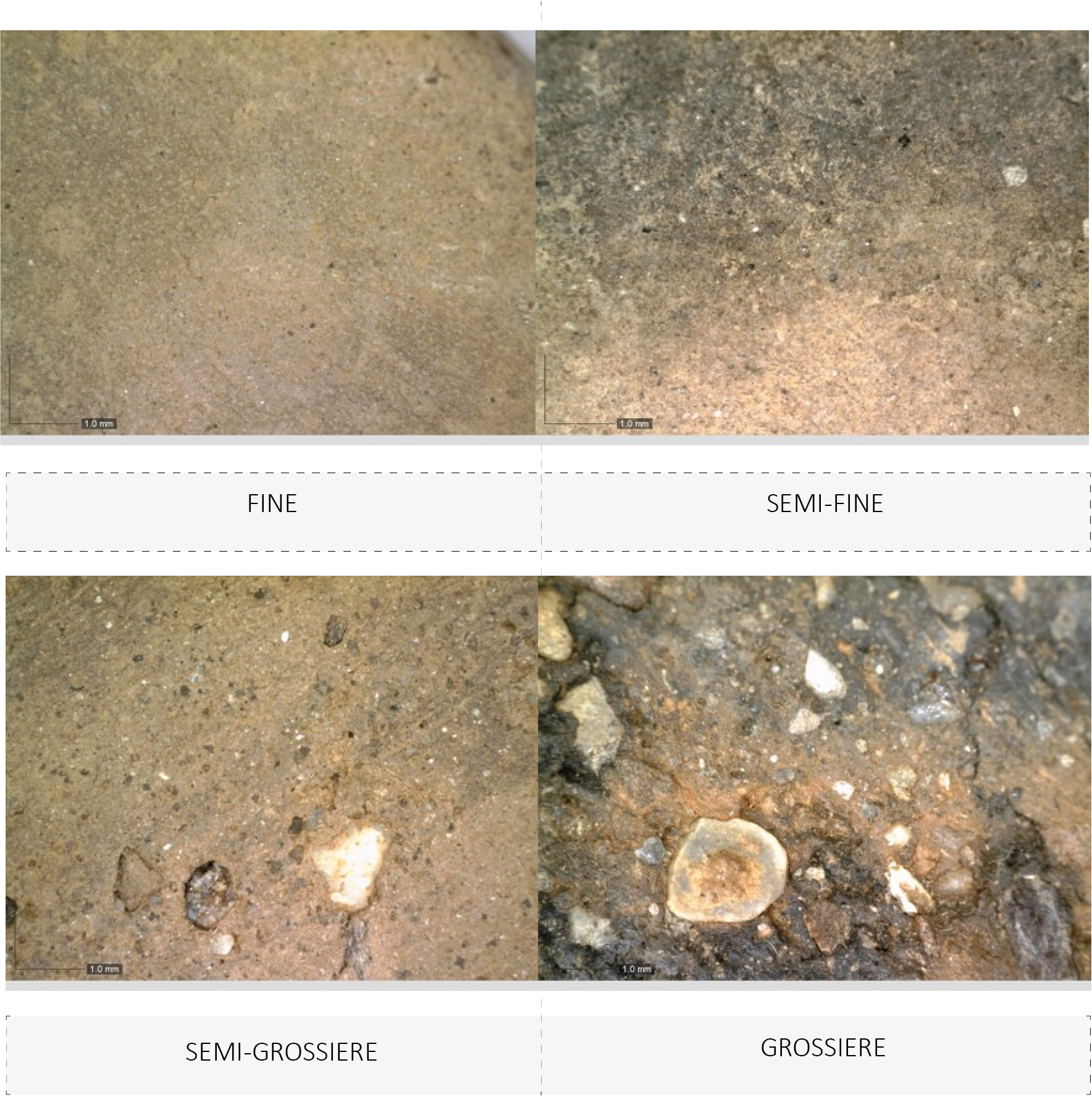 Classification des groupes de pâtes